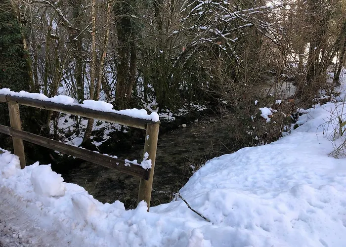 Le Cottage du Vieux Moulin